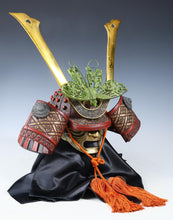 Japanese Vintage Samurai Butterfly Helmet -No Stock Rare Helmet-